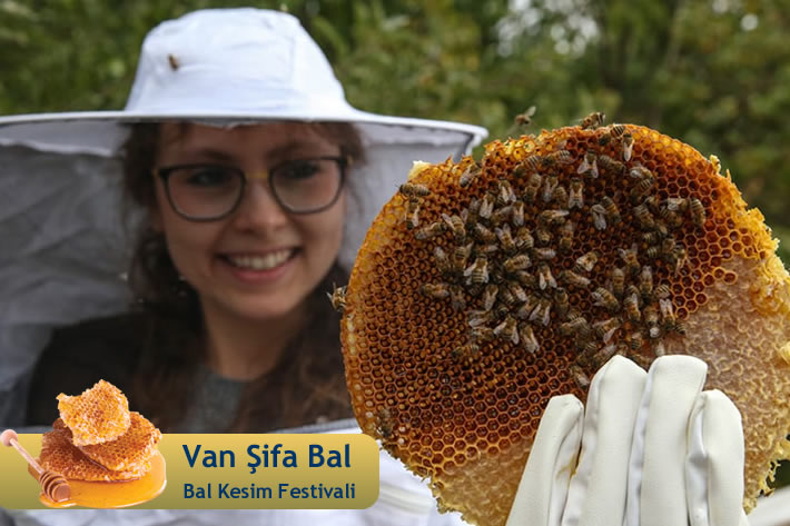 Şifa Bal